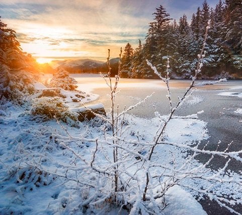 fyc_ala_07_mobile Mobile Image