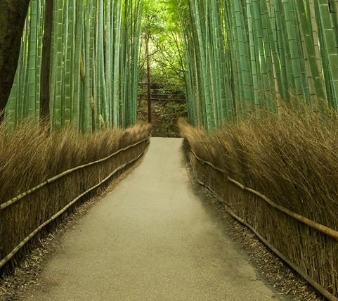 fyc_fae_07_mobile Mobile Image