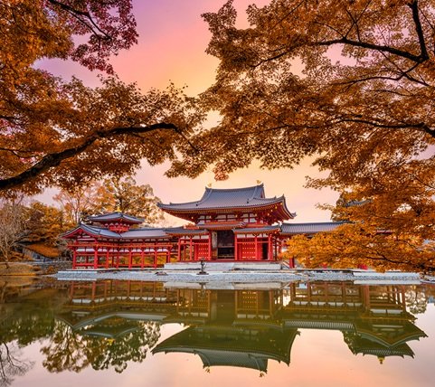 fyc_fae_08_mobile Mobile Image