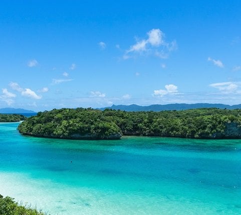 fyc_fae_09_mobile Mobile Image