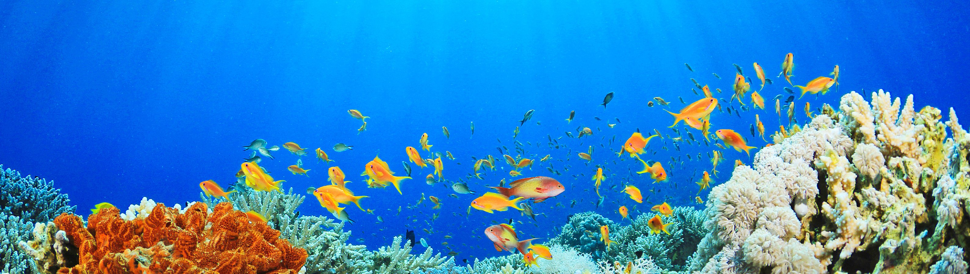 itineraryImageDesktop