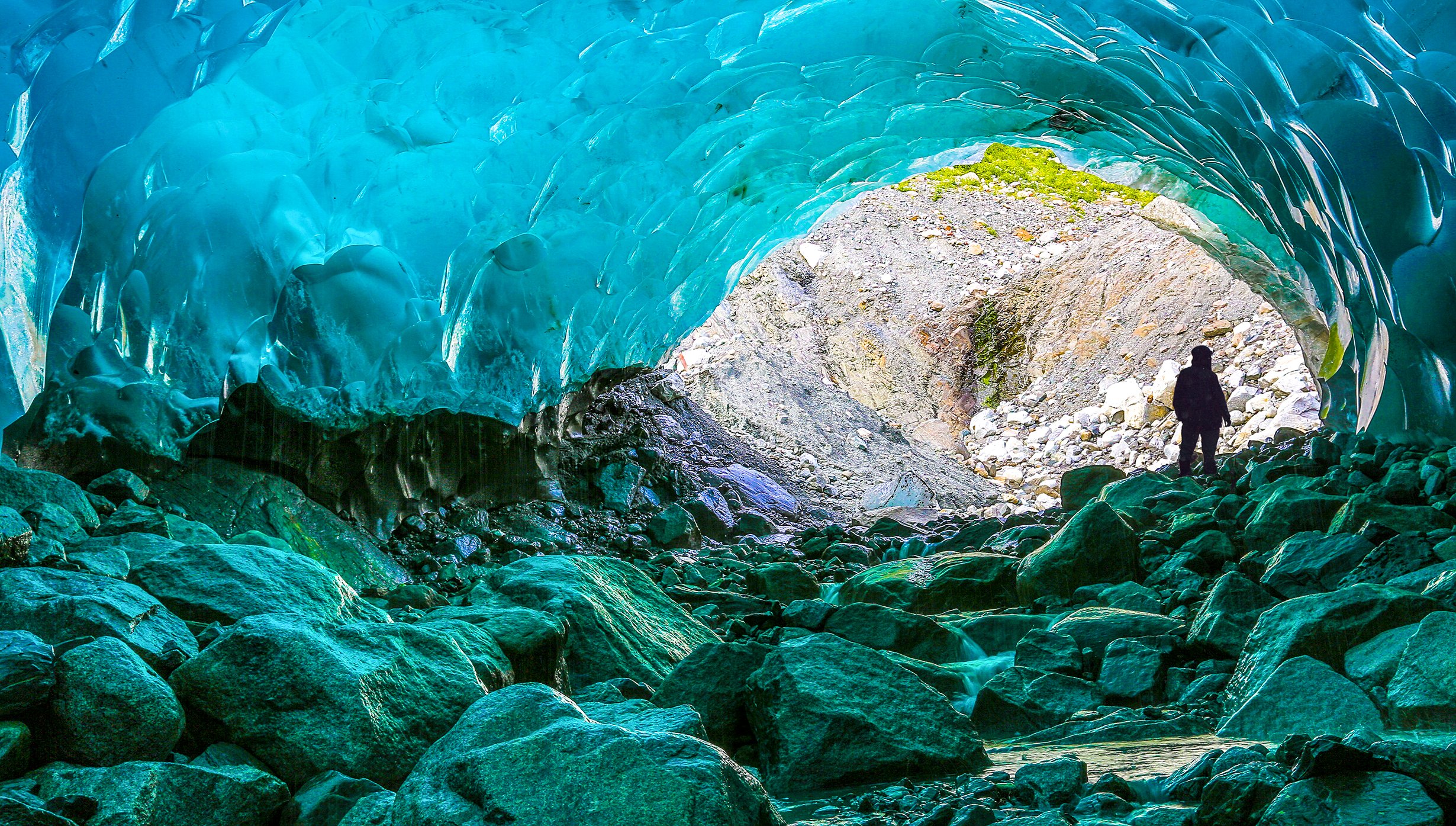Mendenhall Glacier, Juneau | MSC Cruises Mendenhall Glacier, Juneau | MSC Cruises