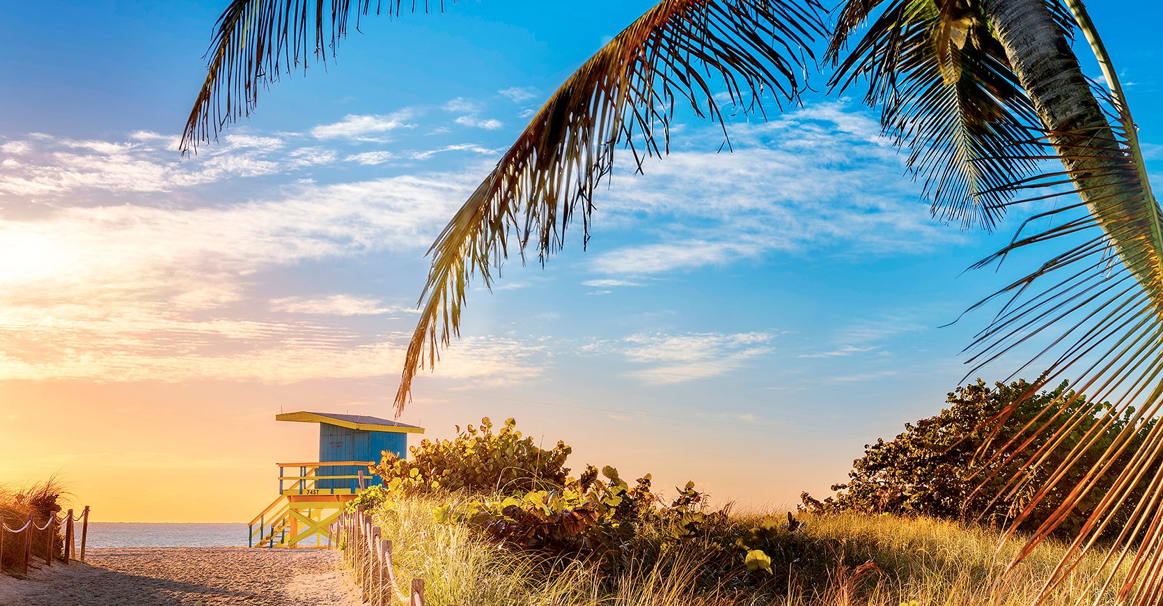 Caribbean cruises 2024, 2025 and 2026 | MSC Cruises