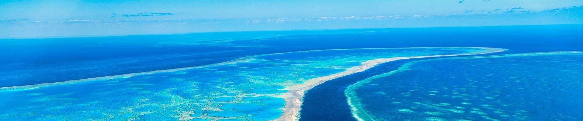 Vorlage: World Cruise 2026 - Cruise rond de wereld 2026 MSC Cruises