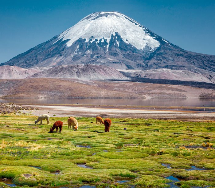 Arica, Chile | MSC Cruises