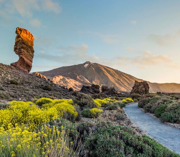 Santa Cruz de Tenerife | MSC Cruises Santa Cruz de Tenerife | MSC Cruises