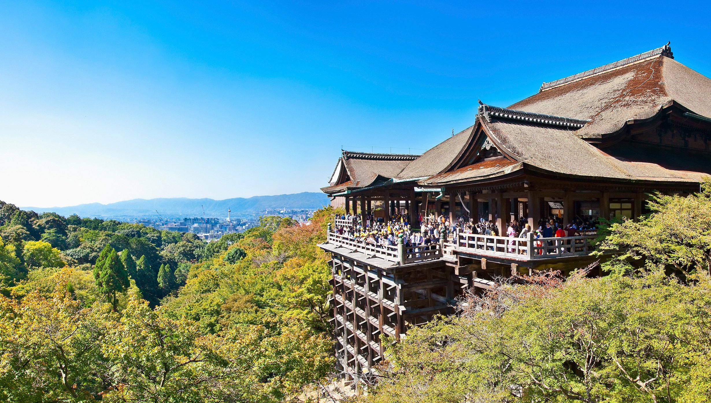 Maizuru cruise Maizuru cruise