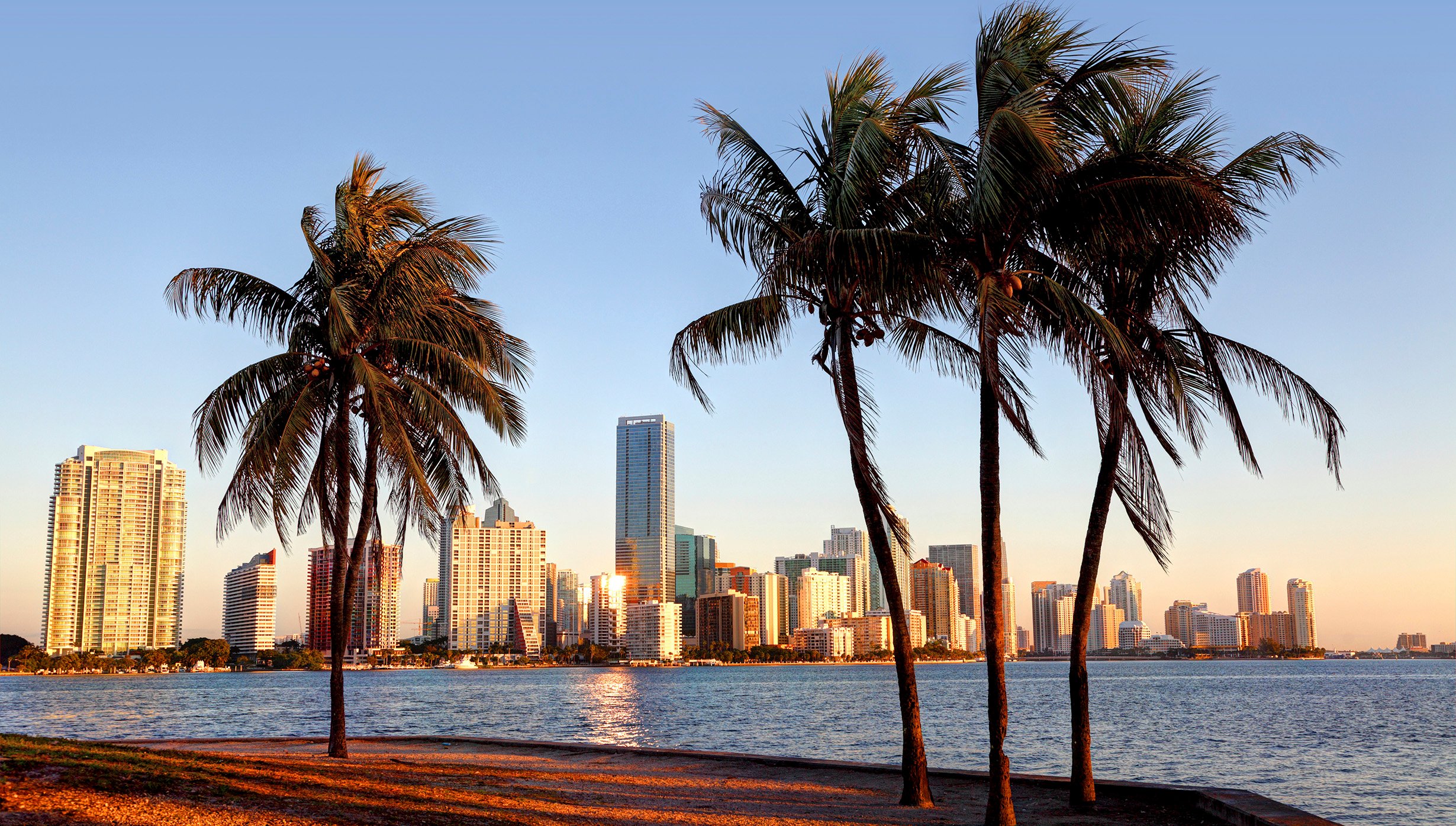 Caribbean & Antilles | MSC Cruises Caribbean & Antilles | MSC Cruises