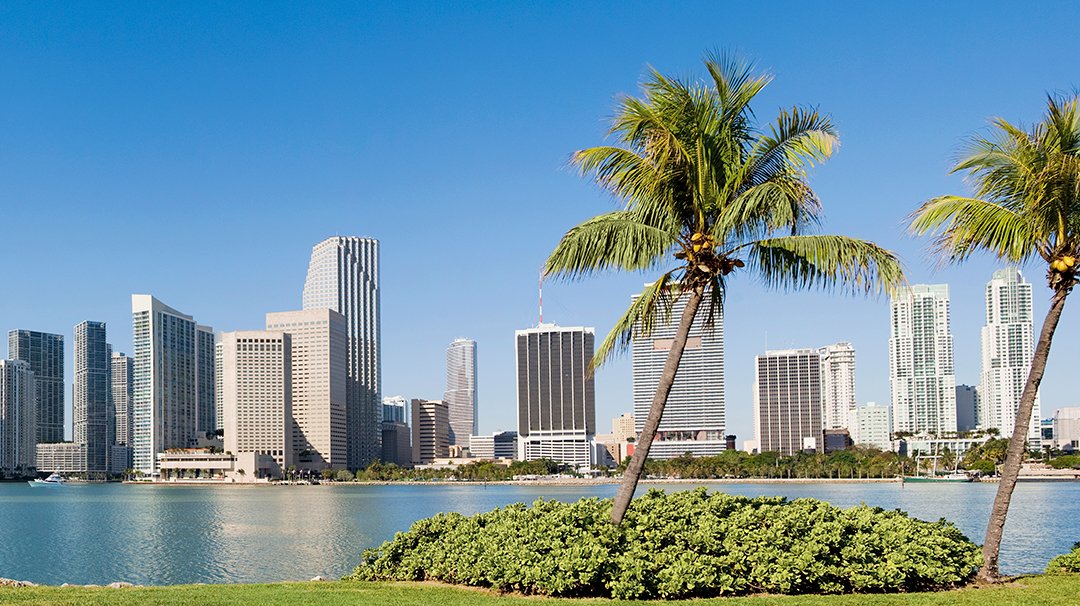 Vue sur la skyline de Miami avec palmiers et ciel bleu | MSC Cruises