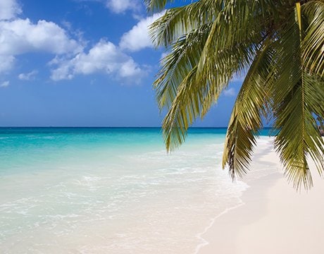 Caribbean cruises | MSC Cruises Caribbean cruises | MSC Cruises