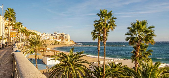 Summer Special Indian Summer 2025 | MSC Cruises Summer Special Indian Summer 2025 | MSC Cruises